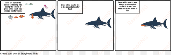 great white sharks - great white shark