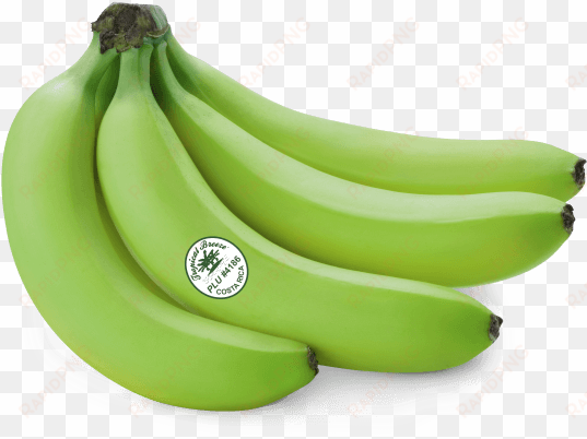 green banana png - green banana transparent