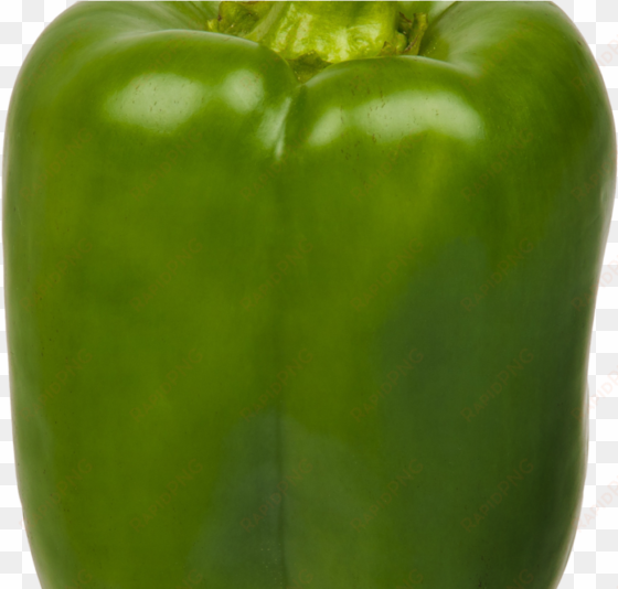 green bell pepper png image - green bell pepper