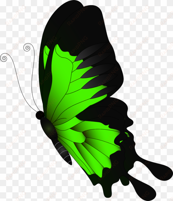 green butterfly clip art - green butterfly png