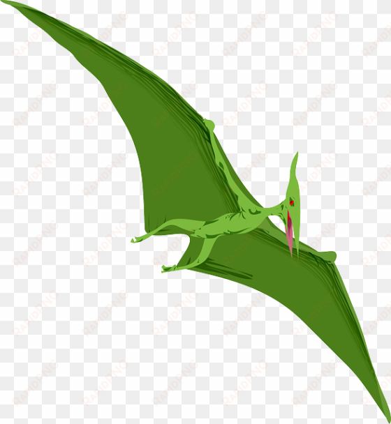 green, flying, dino, color, wings, dinosaur, animal - pterosaur clipart