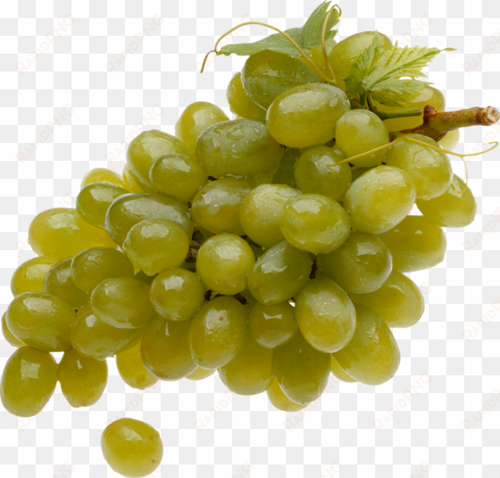 green grape png image - grape png