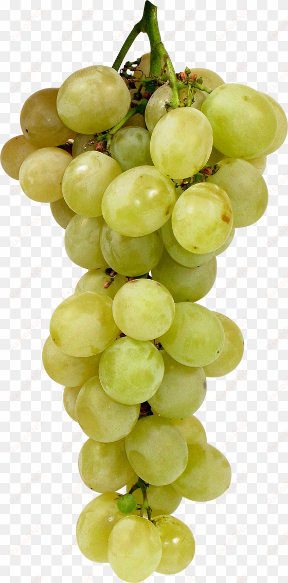 green grape png image - green grape transparent