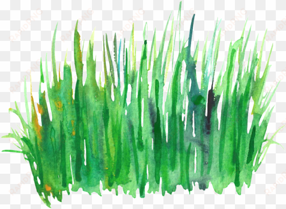 green grass cluster transparent decorative - green watercolor grass