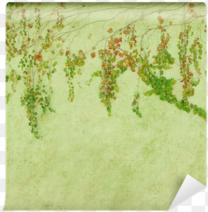 Green Ivy On Old Grunge Antique Paper Texture Wall - Photograph transparent png image