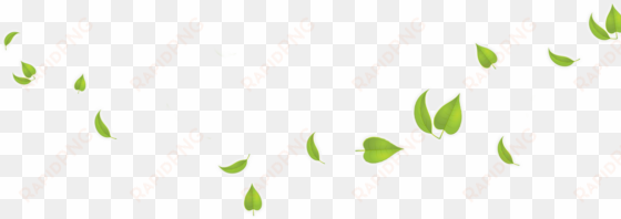 green leaves transparent background - leaves background png