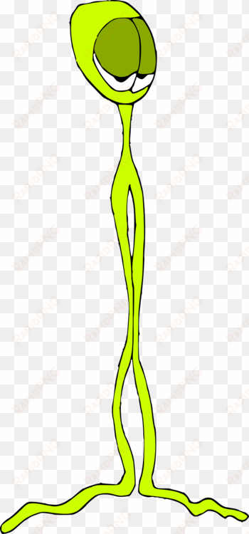 green line art plant stem - clip art