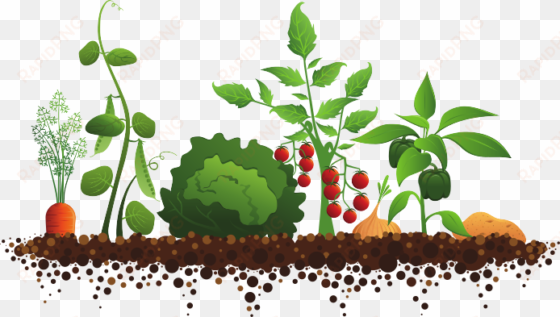 green living - vege garden clip art