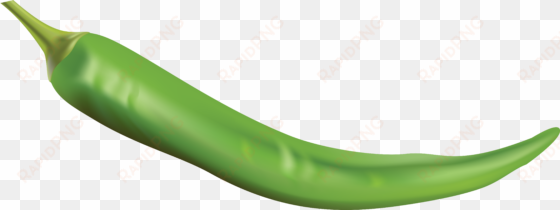 green pepper free png clip art image - green chili pepper png