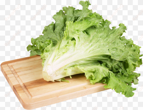 green salad lettuce png clip art image - lettuce png transparent