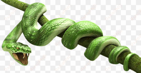 green snake - snake png