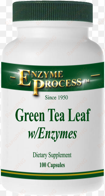 green tea leaf 100 capsules - enzyme process international alkaplex green - superfood