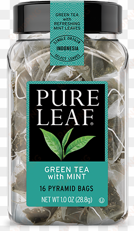 green tea with mint - pure leaf gunpowder green tea