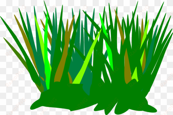 green tuft clip art at clker com - grass tuft clipart