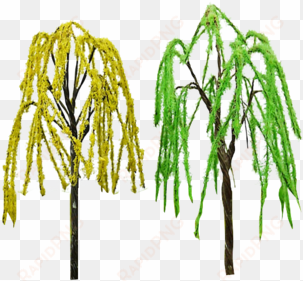 green weeping willow tree architectural mini trees - pond pine