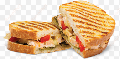 grilled chicken panini 3q-600x400 - bulbhead 11850 red copper flipwich panini and sandwich