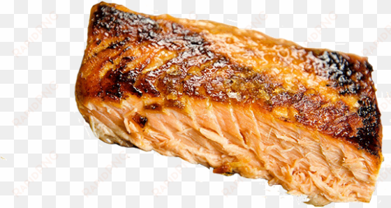 grilled salmon png - salmon png grilled