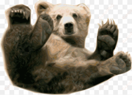 grizzly bear polar bear alaska peninsula brown bear - grizzly bear png