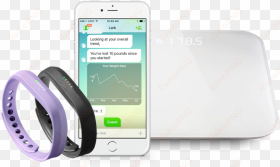 grouping purple fitbit no ihealth logo dpp bundle copy - fitbit