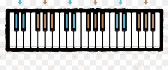 groups of 2 and 3 black keys color-coded on a piano - piano middle c hand position