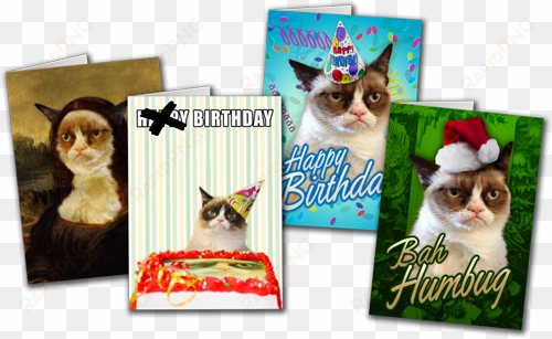 grumpy cat greeting cards - bah humbug-mürrische katze karte