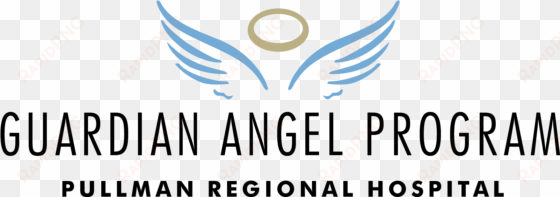 guardian angel donation form - circle