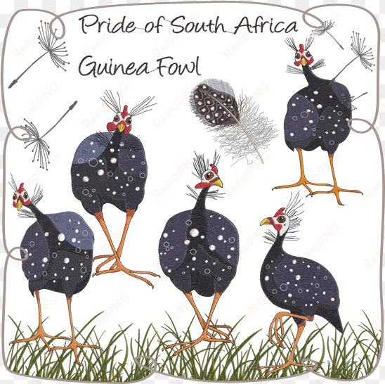 guinea fowls machine embroidery designs - guinea fowl cartoon