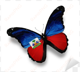 haiti flag butterfly, isolated on white sticker • pixers® - navy blue colour butterfly