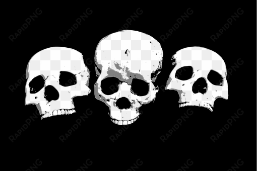 Halloween Horror Skeleton Skull Skulls Sku - Gambar Tengkorak Metal Hitam Putih transparent png image