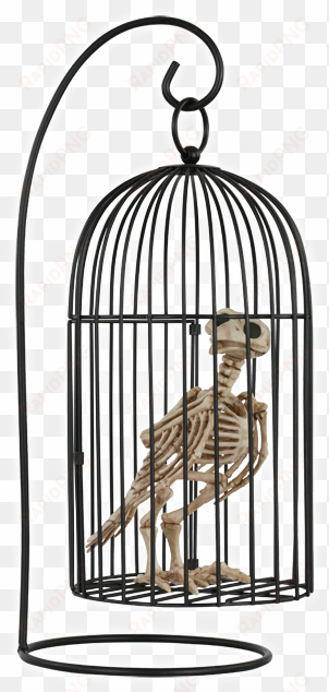 halloween skeleton crow in birdcage - bird in cage