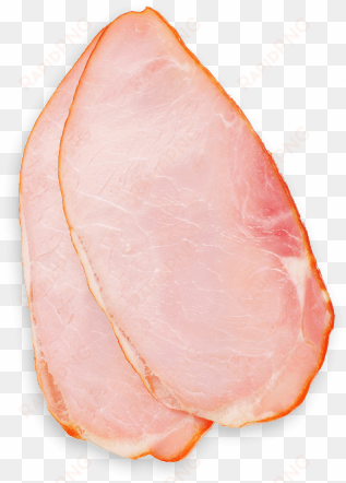 ham - turkey slice png