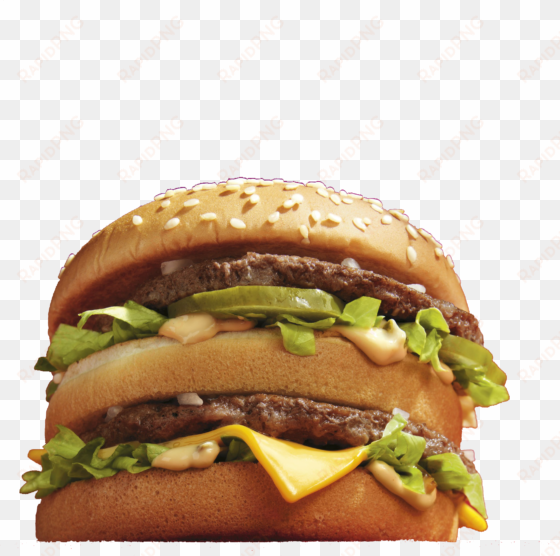 hamburger mcdonald - burger king big mac