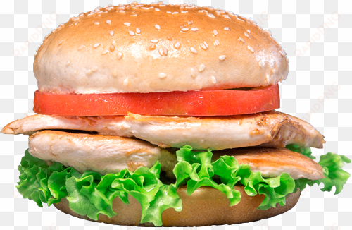 hamburguesa doble pechuga - hamburguesa de pechuga de pollo