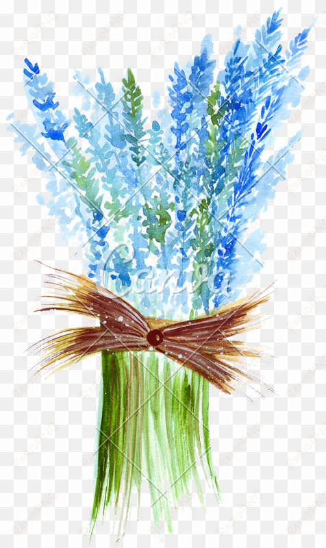 hand drawing of a watercolor of a bouquet of blue lavender - watercolor painting