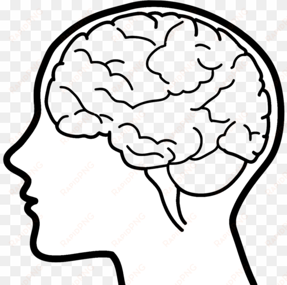 hand drawn brain png images - your brain and you: what neuroscience means