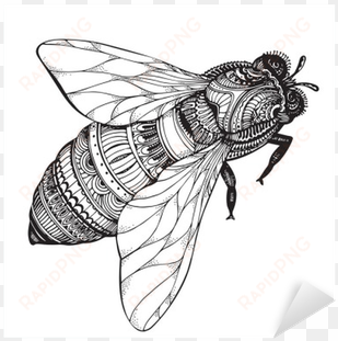 hand drawn honey bee in zentangle style - black and white bee drawing