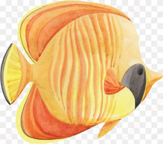 hand painted a tropical fish png transparent - portable network graphics