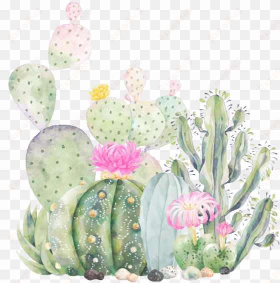 hand painted cactus plant png transparent - succulent business card designs templates