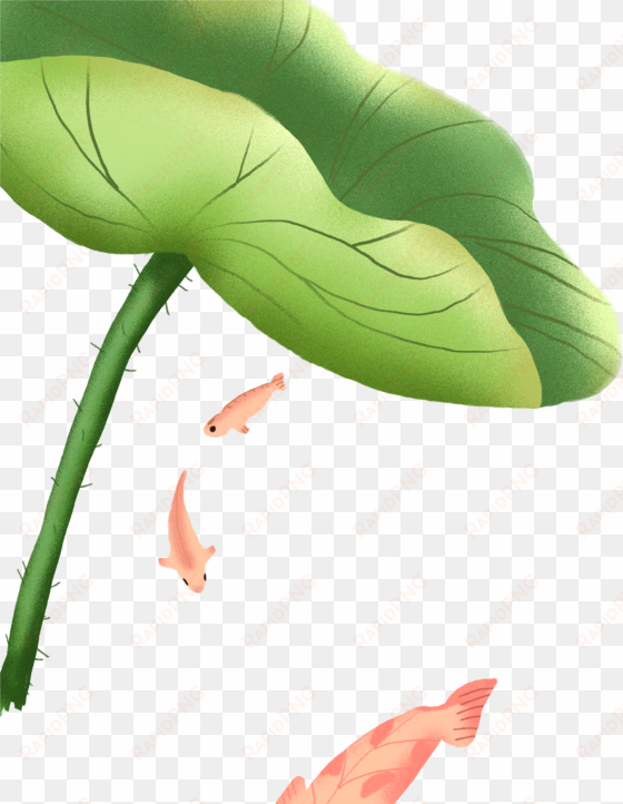 hand-painted cartoon lotus leaf decoration png - cartoon