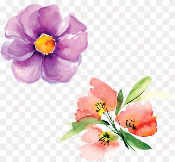 hand painted flowers hd beautiful png petals illustration - watercolor painting