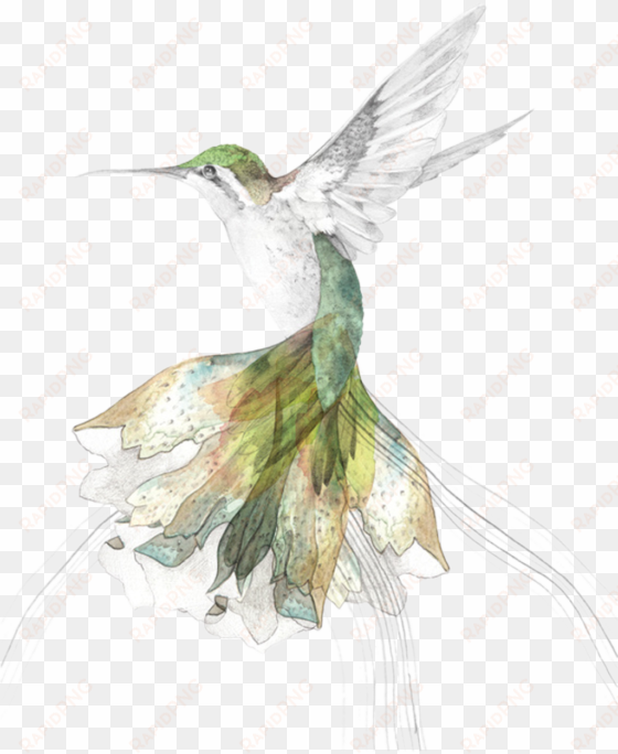 hand painted hummingbird transparent decorative - oil painting bird hummingbird throw pillow case cushion