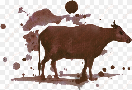 hand painted ink cow decorative pattern image - calf