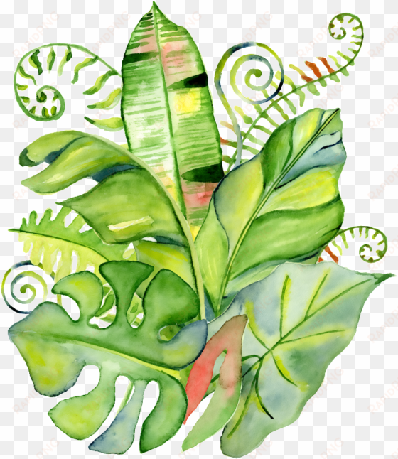 hand painted realistic tropical leaves png transparent - tropischer blattwreath sind sie meine trauzeugin karte