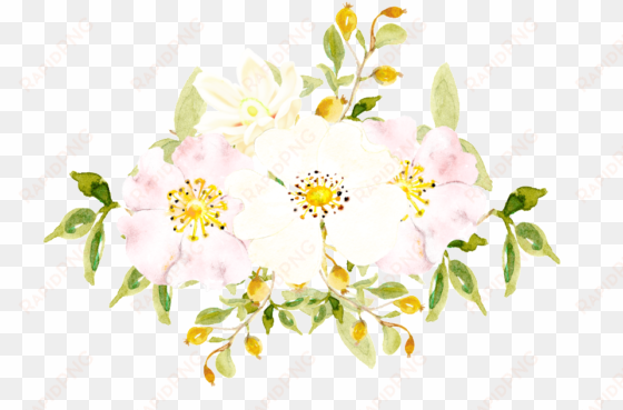 hand painted white flowers png transparent - rosa canina