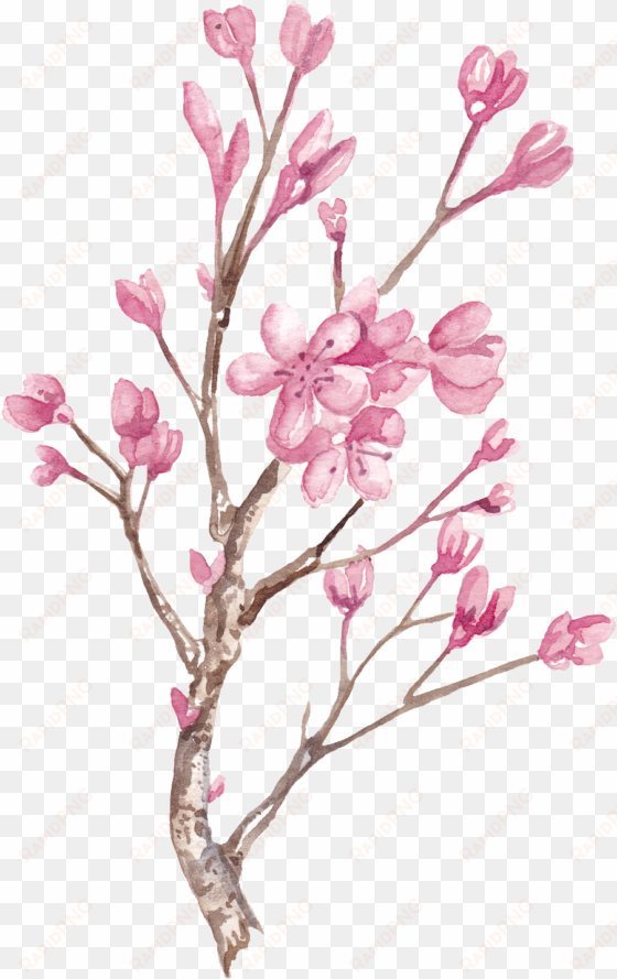 hand painted winter plum blossom branch png transparent - watercolor painting