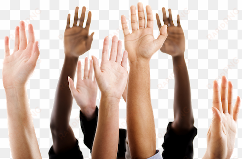 hands up narrow - democracy and multicultural education