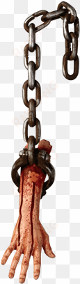 Hanging Bloody Arm - Forum Novelties Bloody Hanging Prop Arm transparent png image