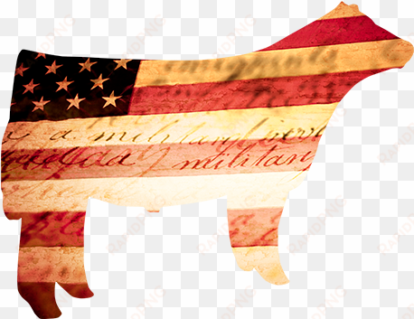 Happy 4th Of July - Livestock 4th Of July transparent png image