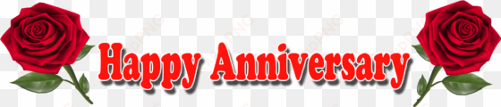 happy anniversary rose text png - happy anniversary text png