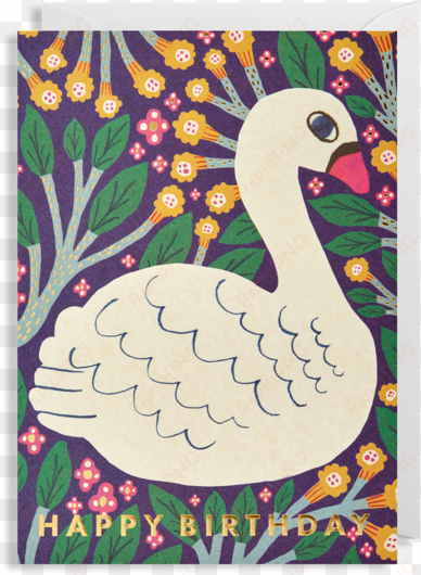 happy birthday swan greeting card - swan greeting card